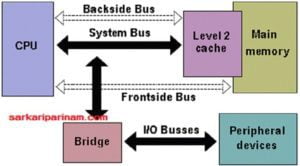 Backaside Bus क्या होती है ?