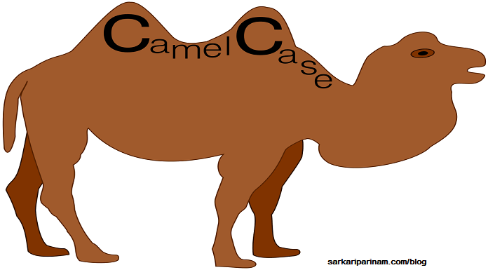 CamelCase-kaise-likhte-hai-238-sarkari-result