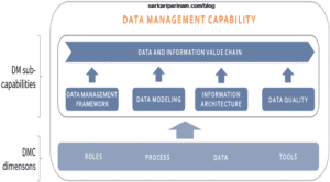 What is Data Management System?